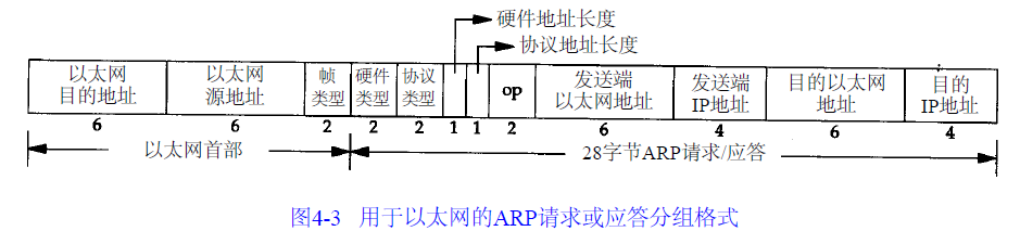 ARP分组格式
